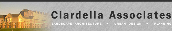 Ciardella Associates